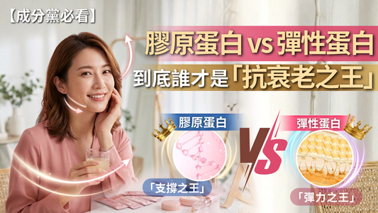 【成分黨必看】膠原蛋白 vs 彈性蛋白，到底誰才是「抗衰老之王」？