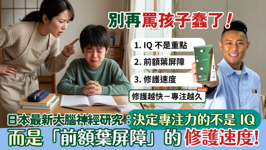 別再罵孩子蠢了！日本最新大腦神經研究：決定專注力的不是 IQ，而是「前額葉屏障」的修護速度！