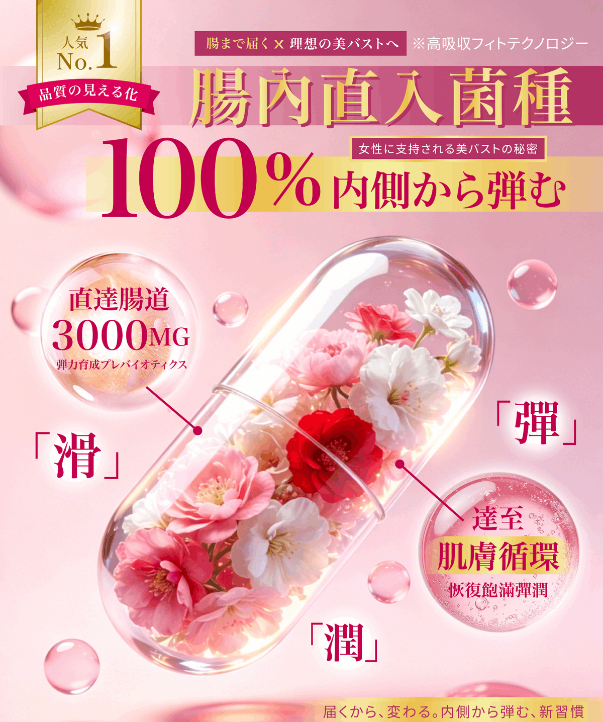 Inness 彈力菌-【彈力益生原+彈性蛋白】彈力自生|腸植彈力菌|4倍肌彈力提升