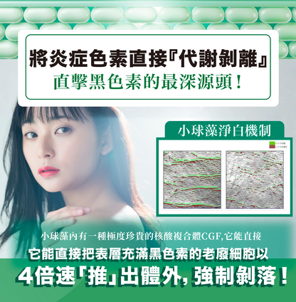Inness 痘印種子｜痘印丸｜暗瘡印剋星｜噬黑因子｜強力除印除斑